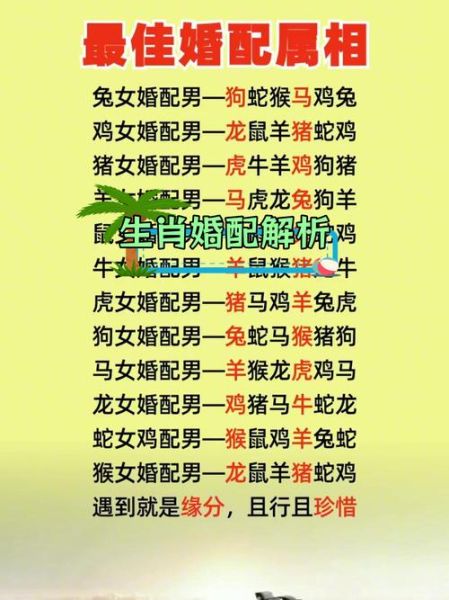 生肖属相婚配书籍（生肖属相婚配书籍最全书单）