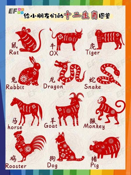 十二生肖属相发卡（十二生肖属相发卡怎么选）