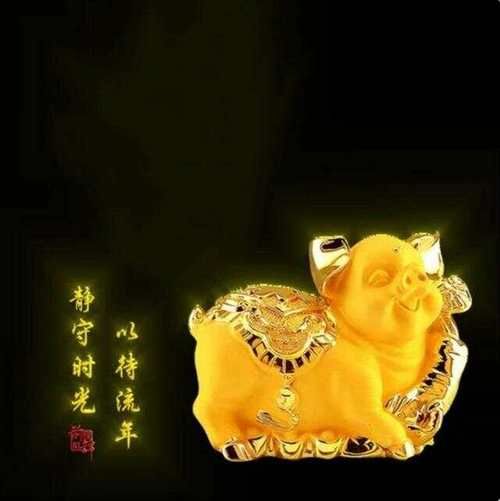 隋字属什么生肖属相