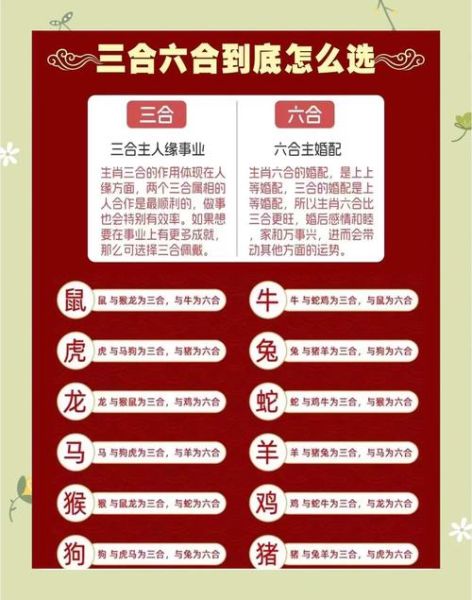 跟老板生肖相合的属相（老板属相合不合一查就懂）