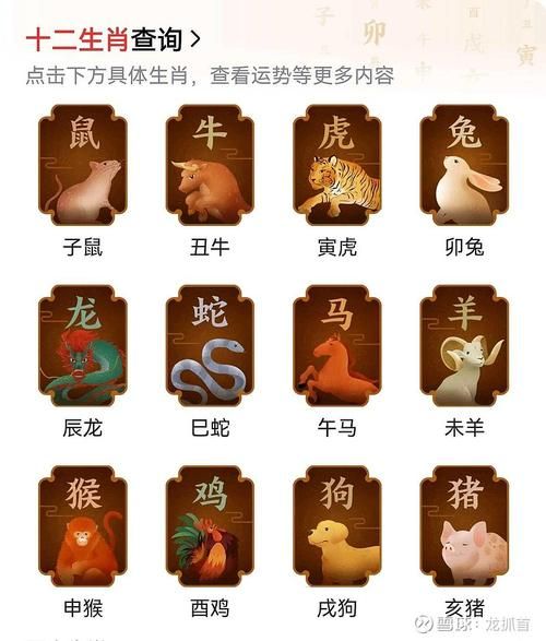 蛇属相生肖表格（蛇属相年份对照表速查）