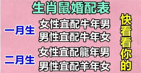 老鼠生肖最佳伴侣属相（老鼠生肖最佳伴侣属相是什么？）
