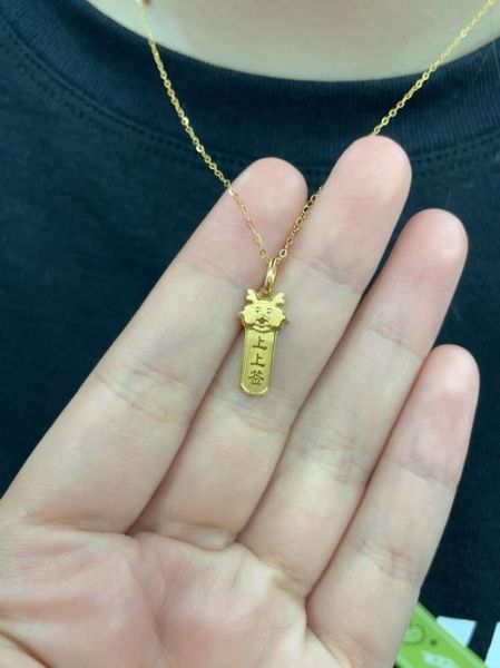 足金生肖属相项链（足金生肖属相项链怎么搭配最减龄）