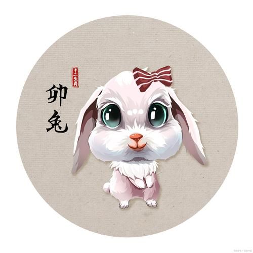 武娘属什么生肖属相