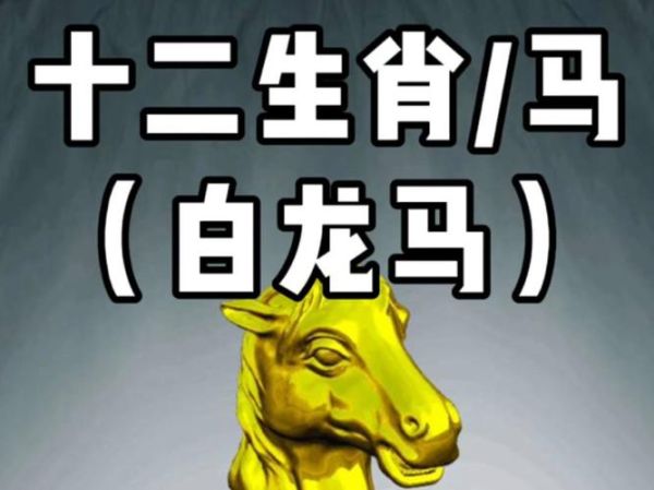 白龙生肖属相（白龙生肖属相是什么）