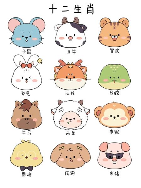 生肖属相动（生肖属相动画图解入门教程）