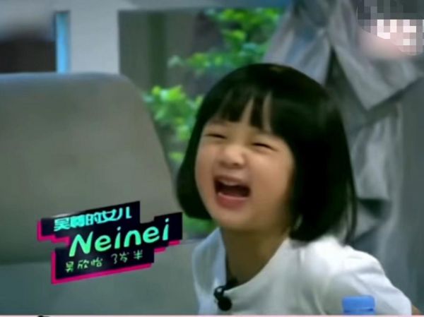 吴欣怡生肖属相（吴欣怡生肖属相揭秘）