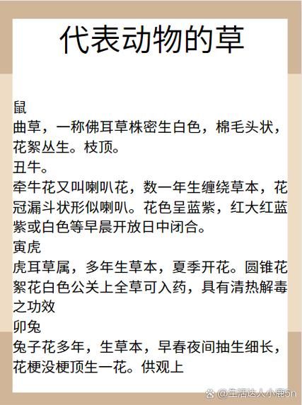 花是什么生肖属相（花代表什么生肖属相）