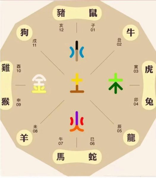 生肖鼠属相阴阳（鼠五行属阴还是属阳）