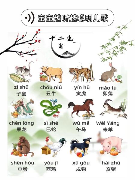生肖属相动物有哪些（十二生肖分别对应的动物有哪些）