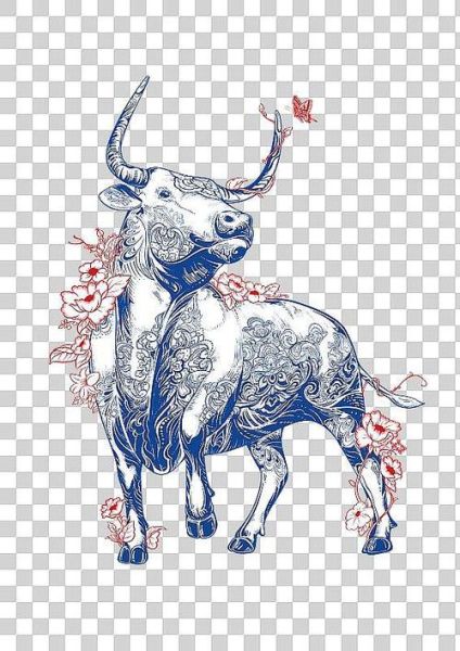 高原是什么生肖属相