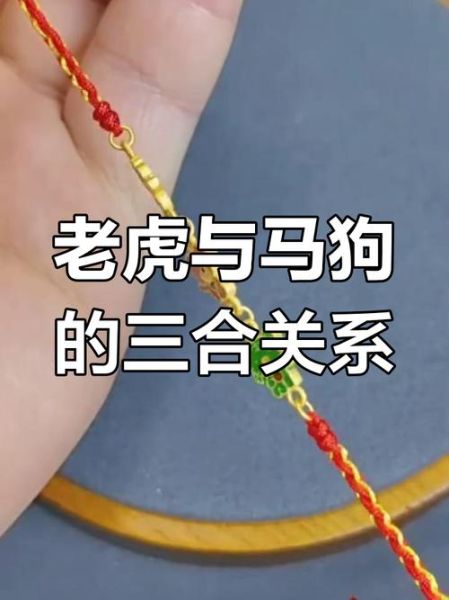 属相生肖情（属狗和属虎的婚姻合不合）