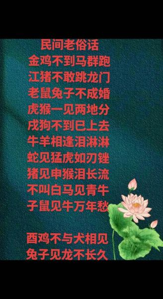 生肖马忌什么属相（生肖马忌什么属相最准）