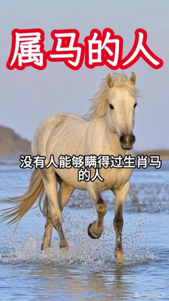 马赫什么生肖属相的（马赫是什么生肖属相的）