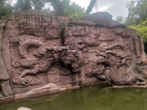 石龙什么生肖属相最好（石龙什么属相最好命 🐉）