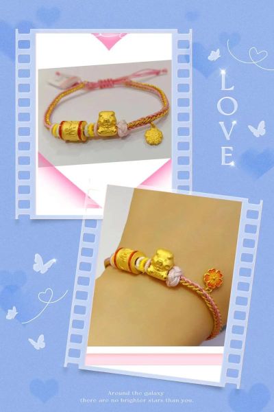 黄金猪生肖属相是什么（黄金猪到底是啥生肖？新手秒懂）