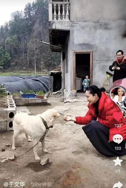 于文华属相生肖（于文华生肖揭秘：原来她是🏮）