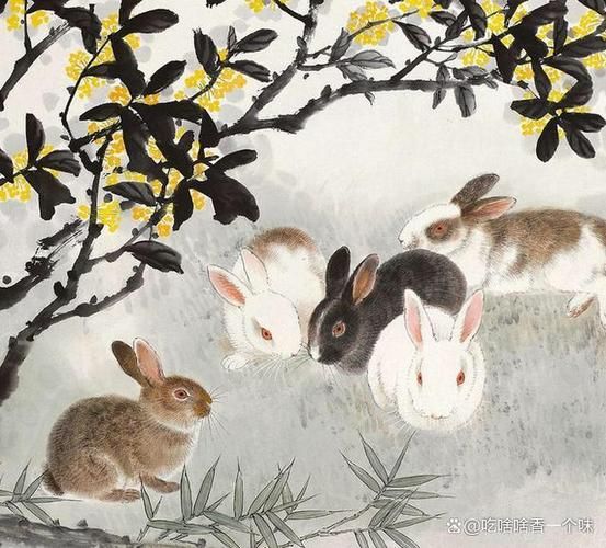 生肖牛和生肖兔属相合不（生肖牛和生肖兔合不合？小白一看就懂）