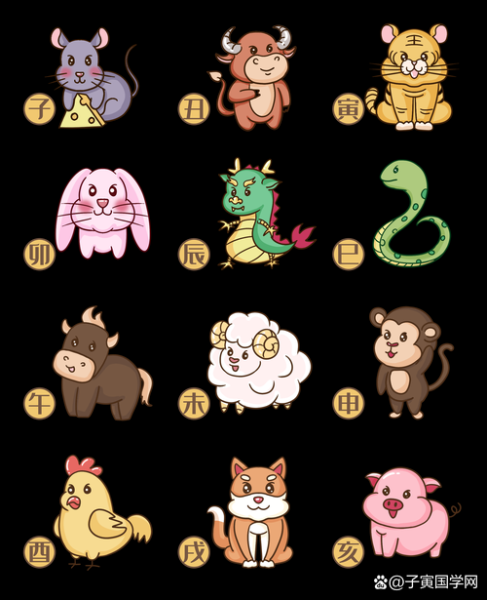花轮同学生肖属相（花轮同学生肖是什么？属兔还是属龙✨）