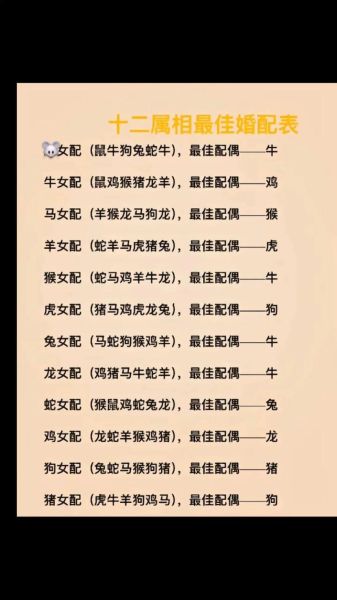 96属什么生肖属相（96年属什么生肖？新手一看就懂）