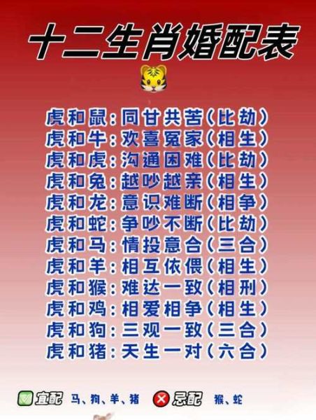 生肖属相评分（十二生肖配对评分完整表）