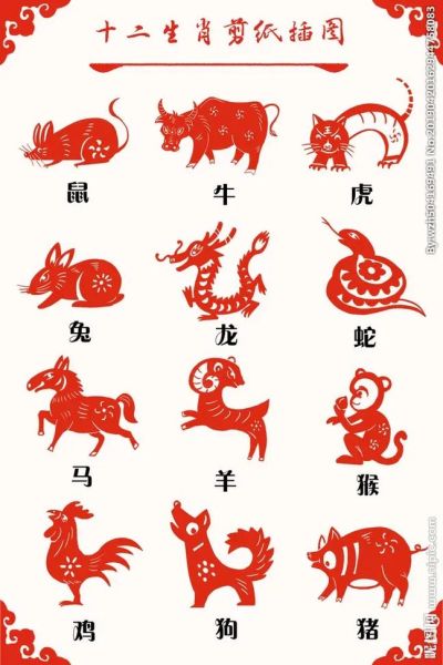 属相排序十二生肖照片(十二生肖排序照片完整版)