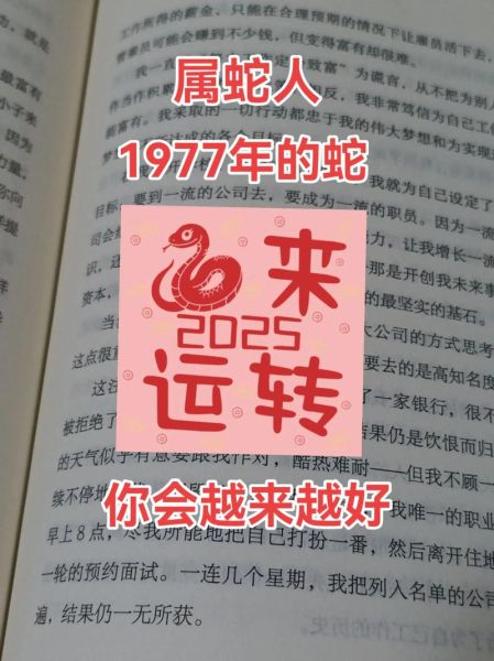 属相蛇前面是什么生肖