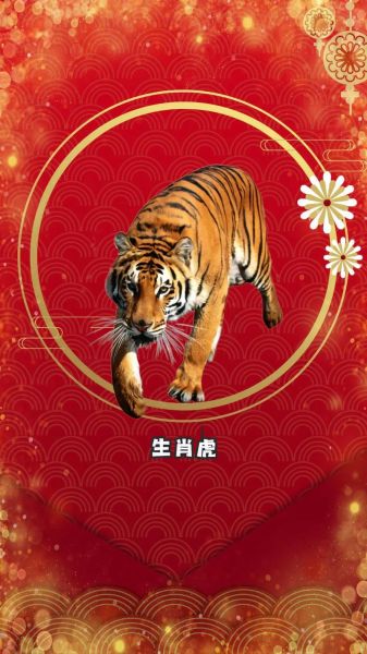 生肖公主属相虎（生肖公主属相虎是什么命）