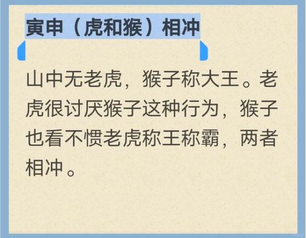 纪少瑜生肖属相（纪少瑜生肖属相是什么🐭）