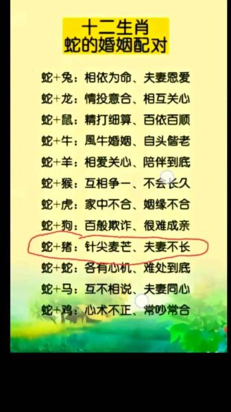 生肖属相情感（生肖属相情感运势准不准）