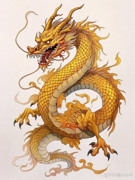 生肖龙最准的属相（生肖龙最配的属相是谁？👑）