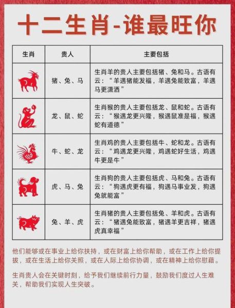 上述什么生肖属相（上述什么生肖属相怎么查？新手必看）