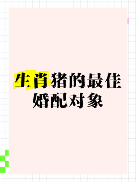 属相猪适合嫁什么生肖（属猪女最适合嫁的生肖揭秘）