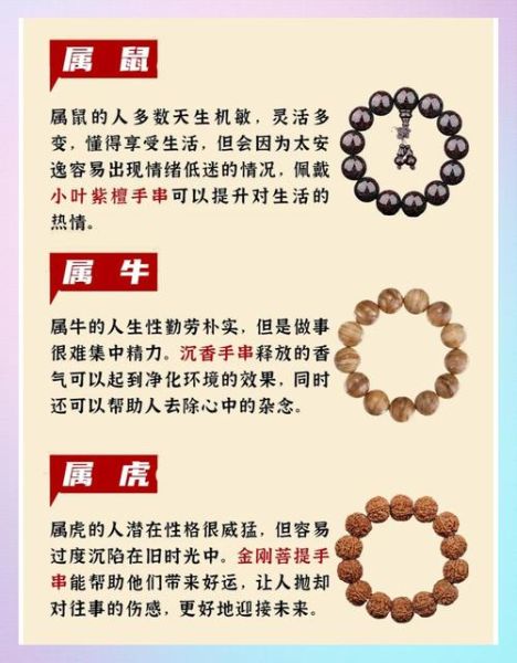 生肖属相有什么讲究（生肖属相有什么讲究？新手避坑指南）