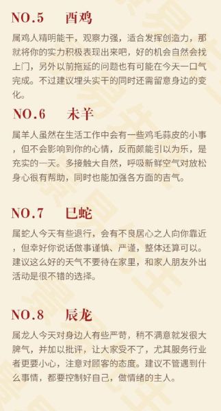 己未属什么生肖属相（己未属什么生肖）