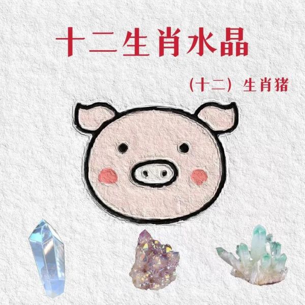 十二生肖属相属猪（属猪生肖的性格到底准不准？）