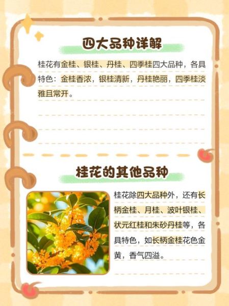 桂花属相是什么生肖（桂花代表什么生肖？新站详解）