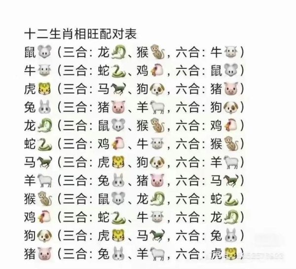 生肖代表什么属相（生肖代表什么属相🐭🐯🐲）