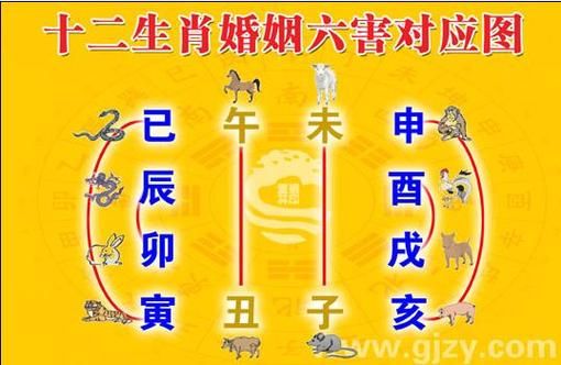 生肖属相不合（生肖属相不合真的不能结婚吗）