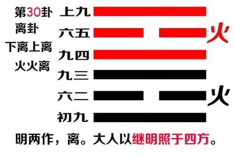 离卦详解生肖属相(离卦对应生肖属马吗?新手看懂卦象✨)