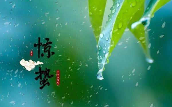 惊蛰属相是什么生肖(惊蛰属相是什么生肖?新手一看就会!)