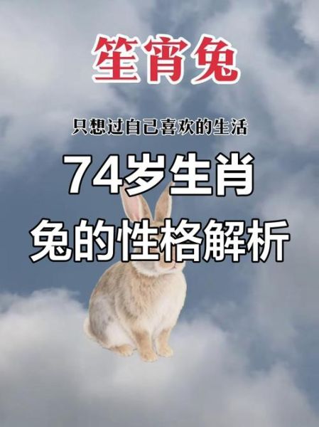 1951年属什么生肖属相(1951年属什么生肖?)