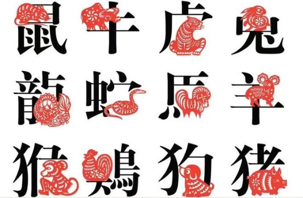 汝属哪个生肖属相(汝属哪个生肖属相?新手指南教你秒查)