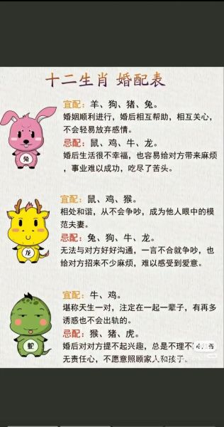 十二生肖合财属相（十二生肖合财属相怎么配对最旺财）