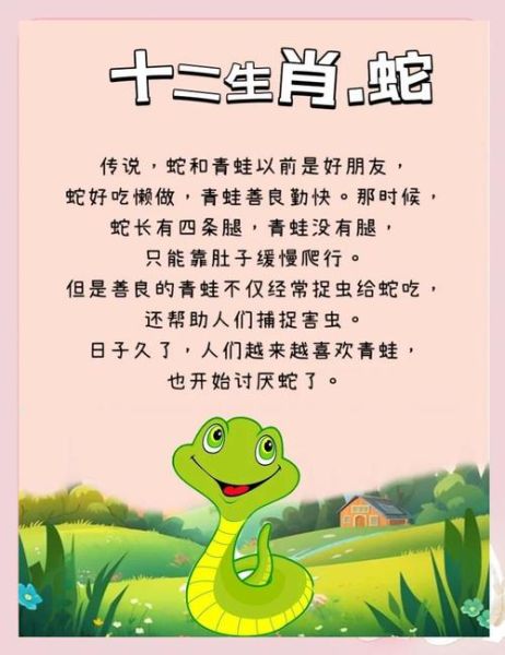 属相是错的生肖（属相是错的生肖怎么办？😵‍💫）