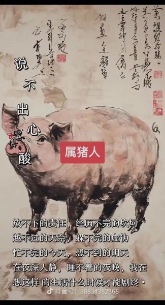 生肖猪跟鼠生什么属相好（生肖猪与鼠生什么娃最旺家？）