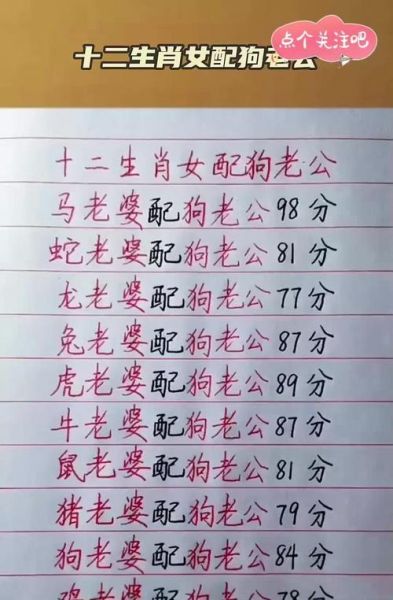 生肖狗最配工作属相（生肖狗最配工作属相职场配对指南）