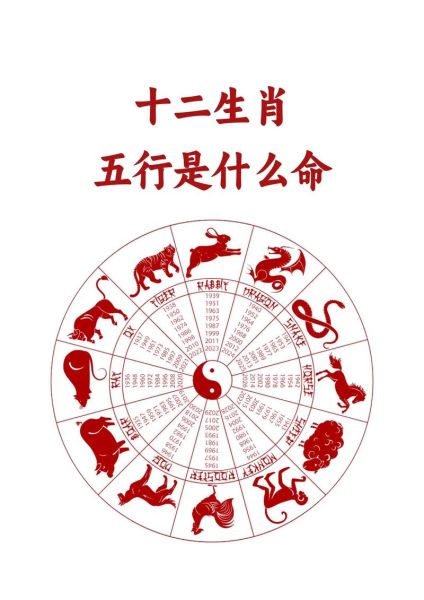 生肖属相命运查询（生肖属相命运查询表怎么看？新手入门指南）