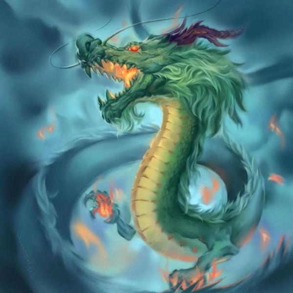 龙龙生肖什么属相好(龙龙生肖配对哪个属相最旺)