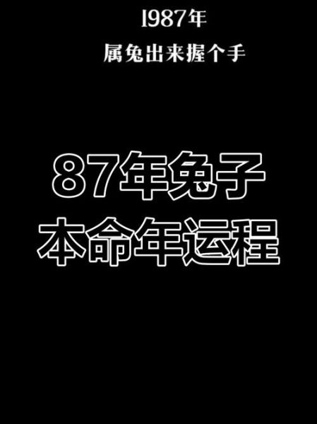 三七兔什么生肖属相(三七兔什么生肖属相一查便知)